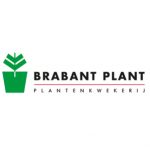 Brabantplant | FSV Corporate Finance